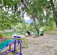 Load image into Gallery viewer, Sit-Up Board Single (Curved)