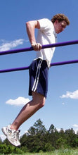 Load image into Gallery viewer, Parallel Bars