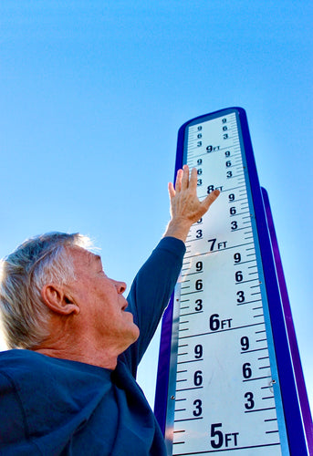 Vertical Jump